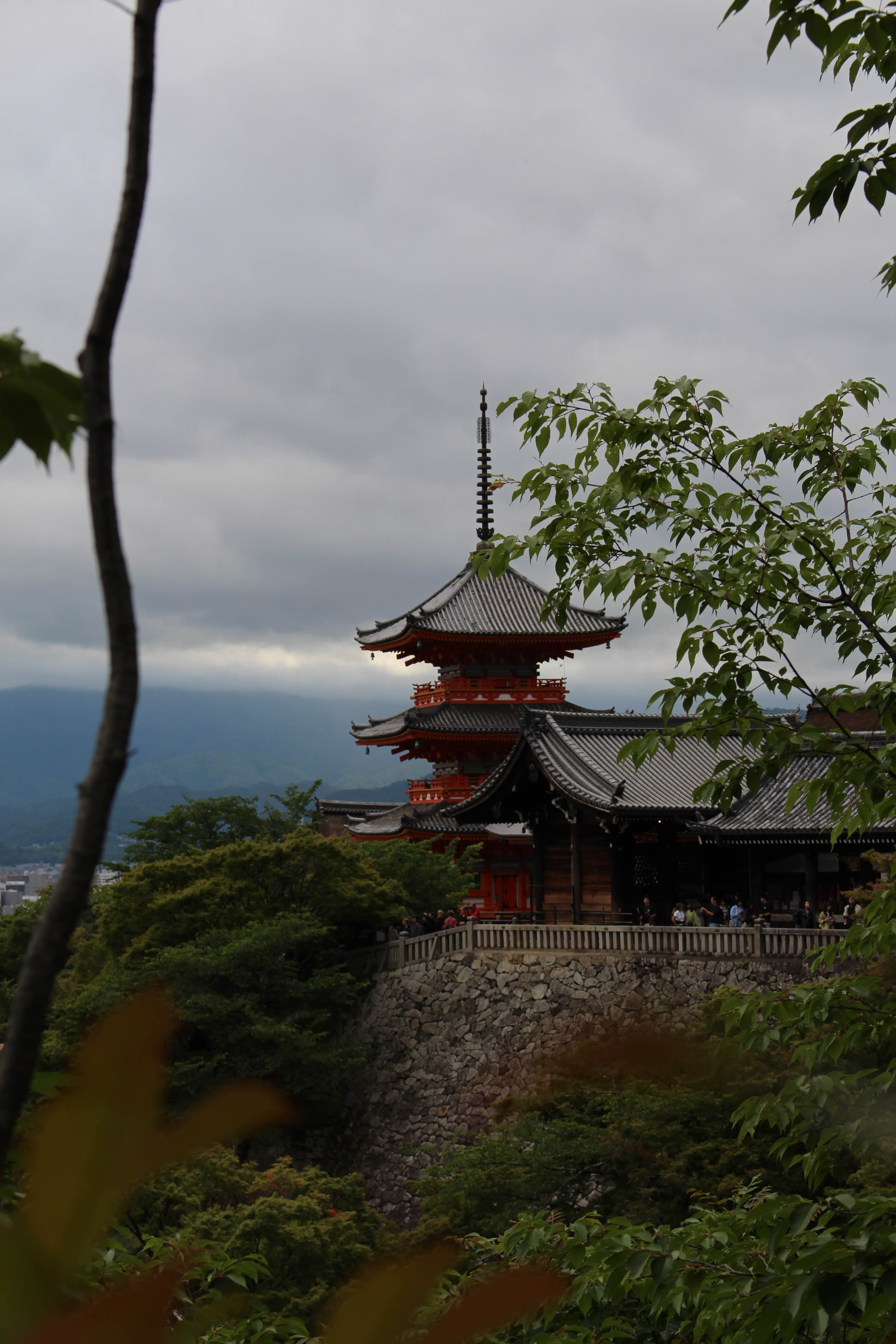 Japan Vista